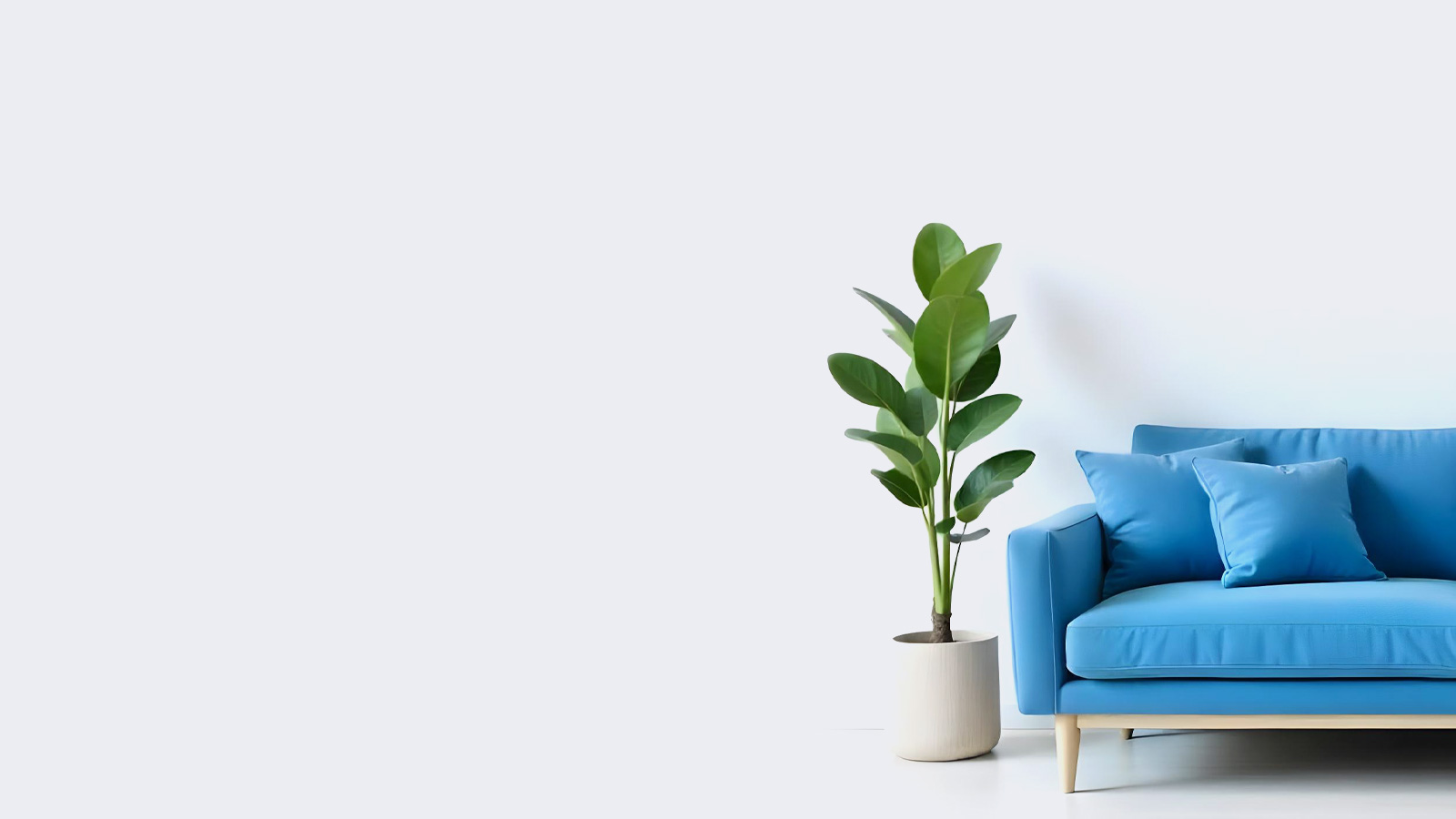 Sofá azul y planta frente a una pared blanca para Inversión inmobiliaria