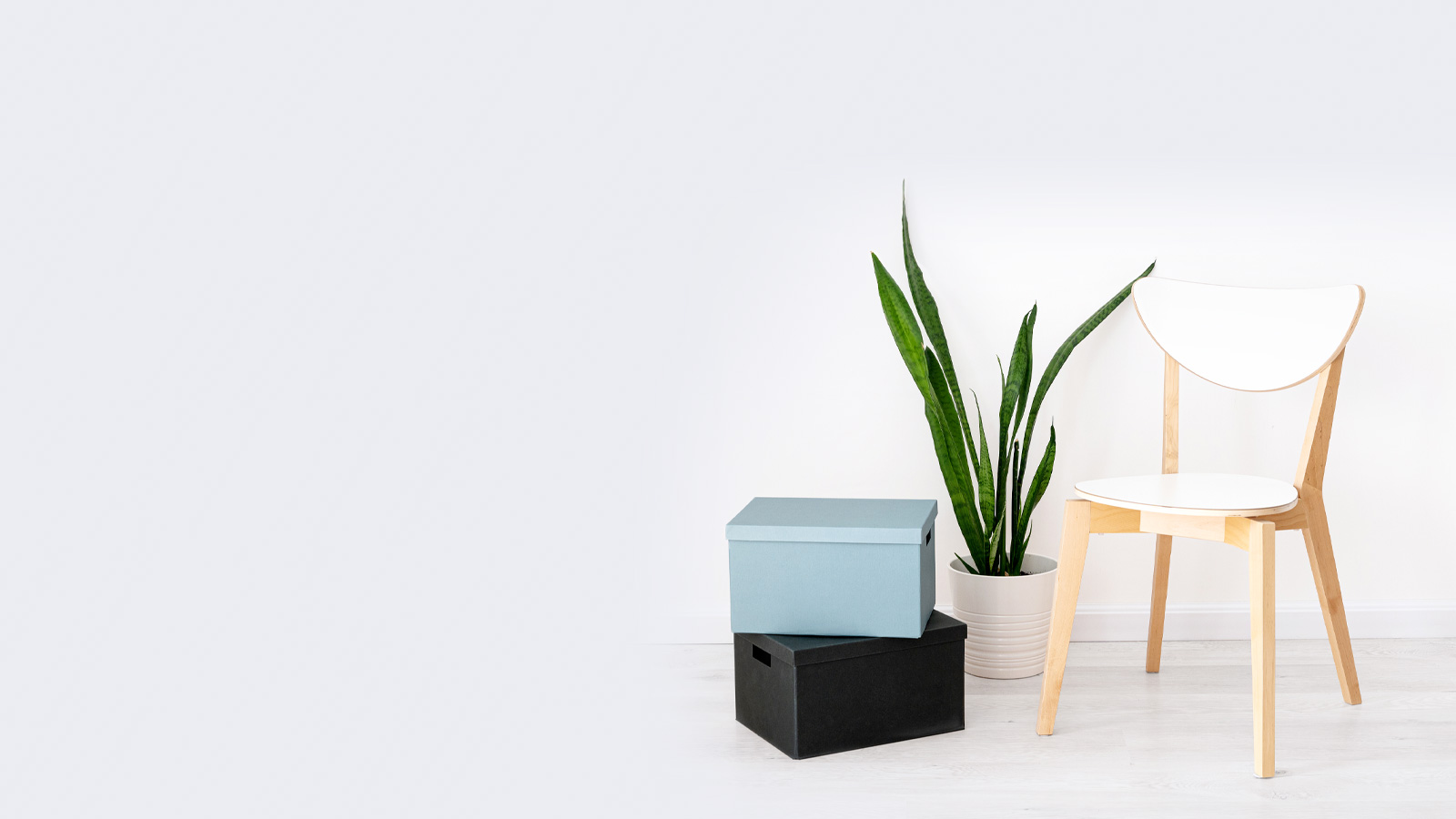 Silla moderna de madera con cajas y una planta en piso para la venta en Zaragoza